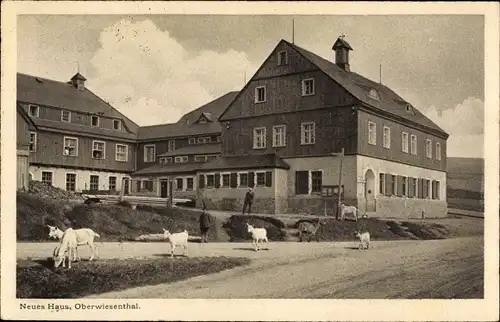 Ak Oberwiesenthal im Erzgebirge Sachsen, Neues Haus, Ziegen