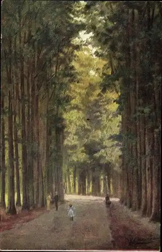 Künstler Ak Gerstenhauer, Johann, Allee, Waldpartie