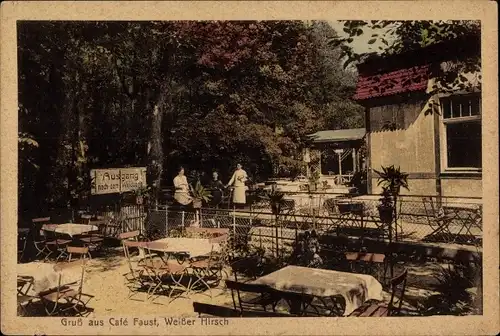 Ak Dresden Nordost Weißer Hirsch, Cafe Faust, Gartenpartie