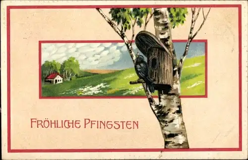 Präge Litho Glückwunsch Pfingsten, Birke mit Nistkasten, Amsel