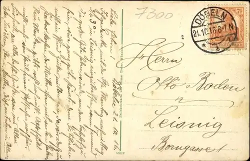 Ak Döbeln in Sachsen, Panorama