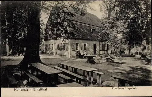 Ak Hohenstein Ernstthal in Sachsen, Forsthaus Haynholz