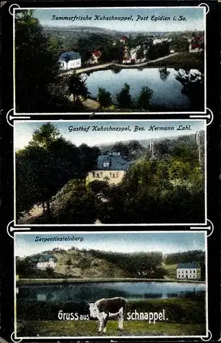 Ak Kuhschnappel St. Egidien Sachsen, Gasthof, Besitzer Hermann Lahl, Serpentinsteinberg, Kuh