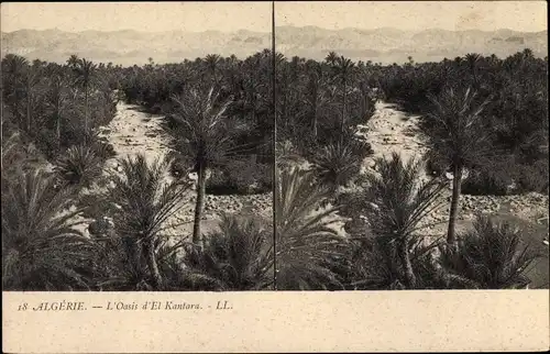 Stereo Ak Algerien, L'Oasis d'El Kantara