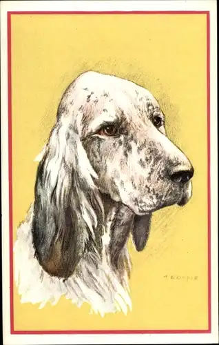 Künstler Ak Cooper, M. B., Tierportrait, Hundeportrait