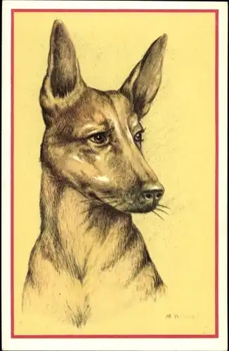 Künstler Ak Cooper, M. B., Tierportrait, Hundeportrait, Basenji