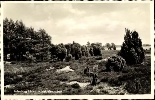 Ak Rotenburg an der Wümme, Heidelandschaft