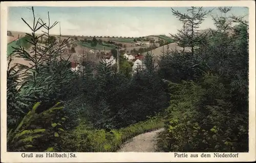 Ak Hallbach Olbernhau im Erzgebirge Sachsen, Partie aus dem Niederdorf