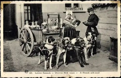 Ak Laitiere flamande, Vlaamse Melk vrouw, Milchmädchen mit Hundekarren