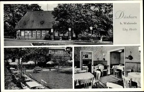 Ak Düshorn Walsrode Lüneburger Heide, Café Niedlich, Aussen- und Innenansicht