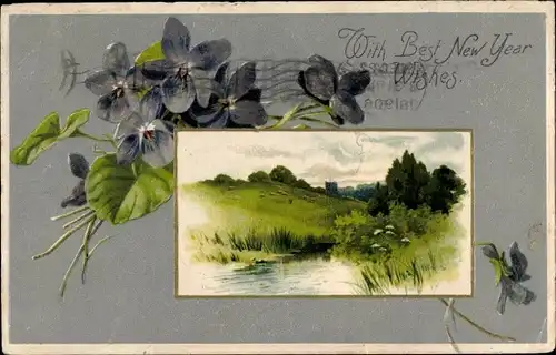 Litho Glückwunsch Neujahr, Landschaft, Veilchen