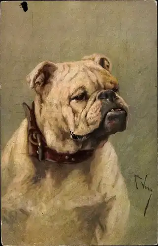 Künstler Ak Bulldogge, Hundeportrait