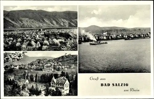 Ak Bad Salzig Boppard am Rhein, Gesamtansicht, Rheinpartie