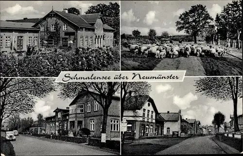 Ak Schmalensee in Schleswig Holstein, Gasthof, Schafherde, Dorfpartie