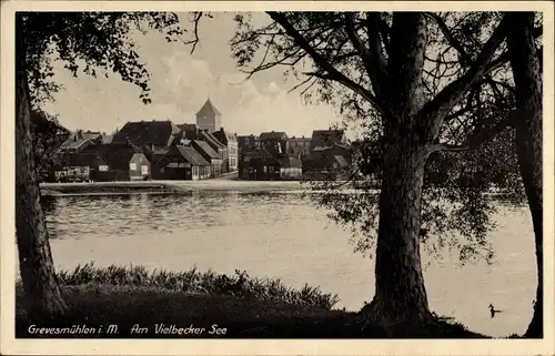 Ak Grevesmühlen in Mecklenburg, Am Vielbecker See