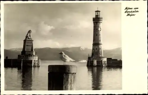 Ak Lindau am Bodensee Schwaben, Möwe im Hafen, Löwenstatue, Leuchtturm