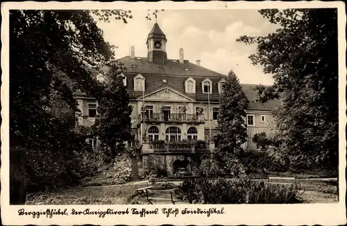 Ak Berggießhübel, Blick auf Schloss Friedrichstal