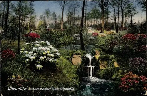 Ak Chemnitz in Sachsen, Alpenrosen Partie im Küchwald