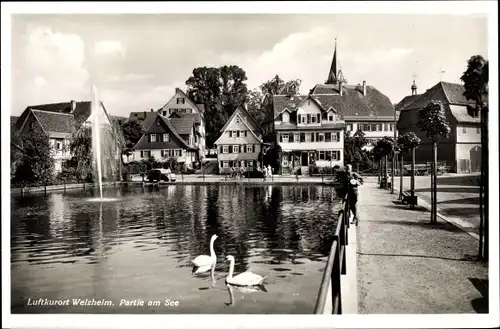 Ak Welzheim in Baden Württemberg, Partie am See, Schwäne