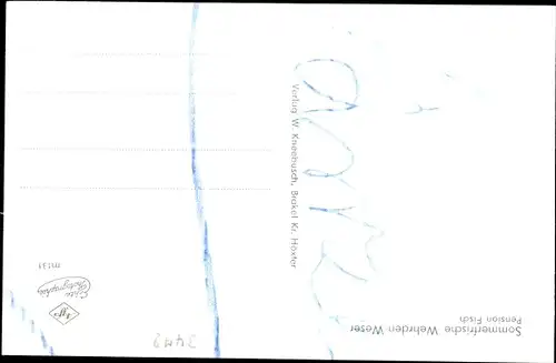 Ak Wehrden Beverungen Nordrhein Westfalen, Blick auf den Ort, Pension Fisch