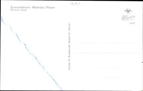 Ak Wehrden Beverungen Nordrhein Westfalen, Blick auf den Ort, Pension Fisch