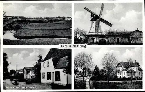 Ak Tarp in Schleswig Holstein, Windmühle, Geschäft, Teilansicht, Landschaft