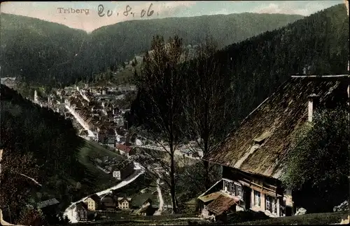 Ak Triberg im Schwarzwald, Talblick auf den Ort und die Umgebung