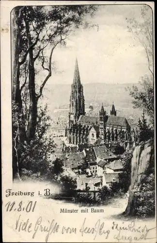 Ak Freiburg im Breisgau, Münster mit Baum