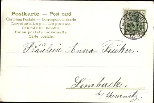 Litho Glückwunsch Neujahr, Jahreszahl 1906, Vergissmeinnicht