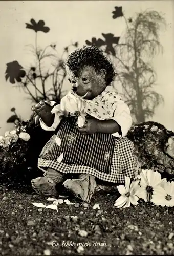 Ak Mecki der Igel, Er liebt mich doch, Igelfrau zupft Blütenblätter von Blumen