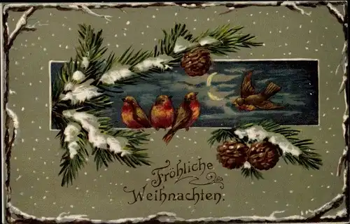 Ak Glückwunsch Weihnachten, Zapfen, Tannenbaum-Zweige, Vögel
