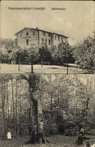 Ak Bad Lausick in Sachsen, Hermannsbad, Waldfrieden, Baum mit Wappen, Kind