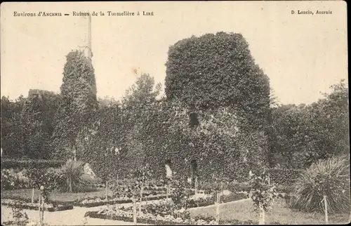 Ak Liré Maine et Loire, Ruines de la Turmelière