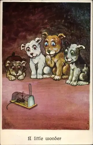 Künstler Ak A little wonder, Vier Hunde betrachten Maus in Mausefalle