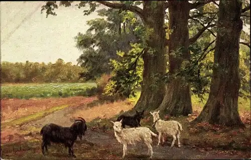 Künstler Ak Gerstenhauer, Johann Georg, Ziegen und Bäume