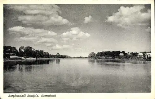 Ak Reinfeld Schleswig Holstein, Blick auf den Herrenteich