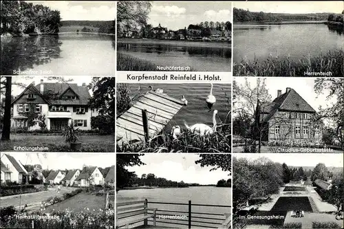 Ak Reinfeld in Holstein, Erholungsheim, Schwarzer Teich, Herrenteich, Genesungsheim