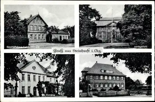 Ak Steinhorst Celle, Geschäftshaus Carl A. Hoffmann, Amtsgericht, Domäne, Kreissparkasse