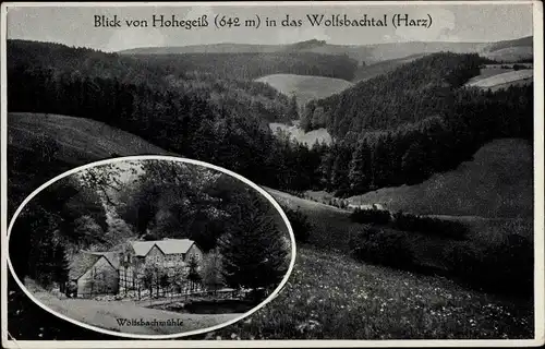 Ak Hohegeiß Braunlage im Oberharz, Blick in das Wolfsbachtal, Wolfsbachmühle