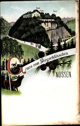 Ak Nossen Landkreis Meißen, Blick auf das Gasthaus Bergschlösschen