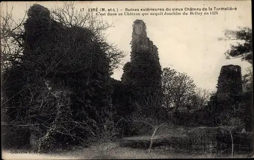 Ak Liré Maine et Loire, Château de la Turmelière, Ruines
