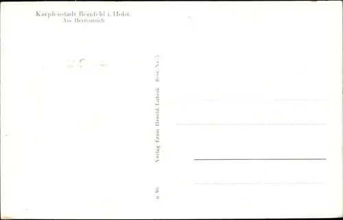 Ak Reinfeld in Schleswig Holstein, Holstenhof, Am Herrenteich, Schwäne