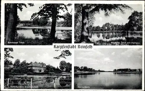 Ak Reinfeld in Holstein, Schwarzer Teich, Neuhöfer Teich mit Rathaus, Schlossgraben u. alte Schule