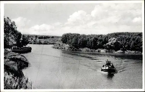 Ak Güster in Lauenburg, Elbdampfer