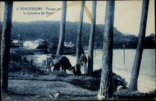 Ak Pontevedra Galicien Spanien, Paisaje en la Carretera de Marin