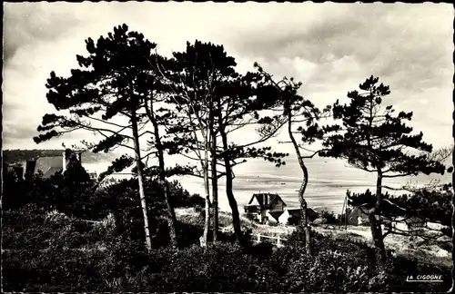 Ak Blonville sur Mer Calvados, La Plage a travers les sapins