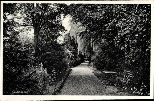 Ak Rhede im Münsterland, Laubengang, Exerzitienheim d. Steyler Missionsschwestern