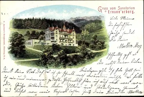 Ak Ernsee Gera in Thüringen, Sanatorium Ernsee'erberg, Wald