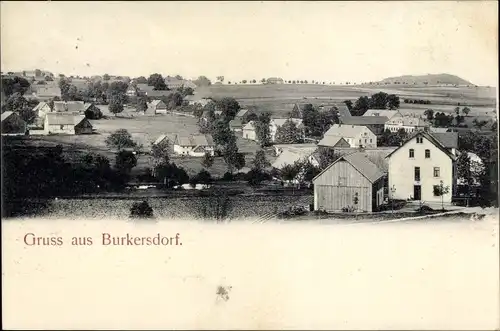 Ak Burkersdorf Frauenstein im Erzgebirge, Stadtpanorama, Felder