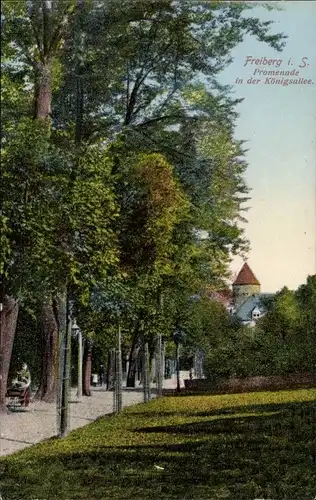 Ak Freiberg in Sachsen, Promenade in der Königsallee